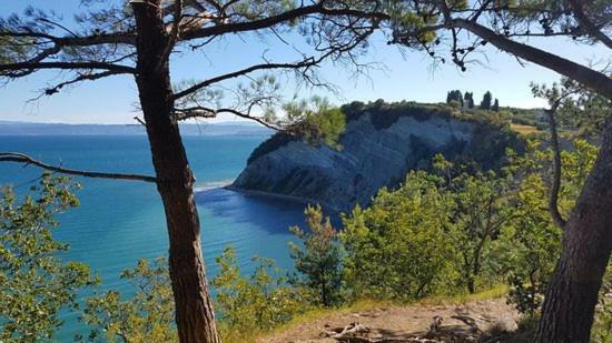 Amazing View Pirano Appartement Buitenkant foto